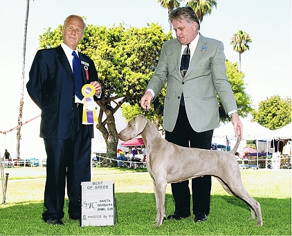 katie bob 5.jpg - 159.47 K